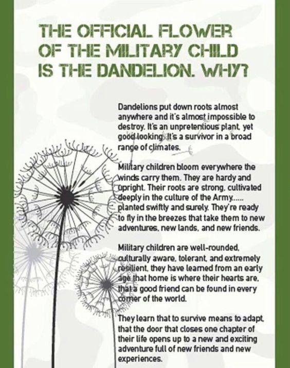 12524386_1000736506661949_4886888954094900912_n